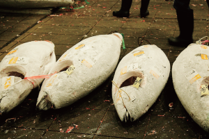 時今浪花賑活気あふれる天下の台所