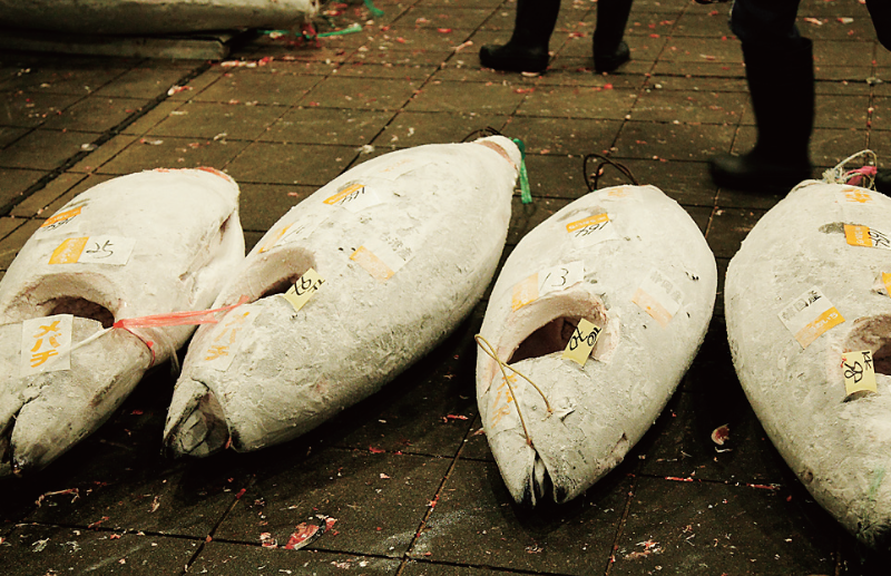 時今浪花賑活気あふれる天下の台所