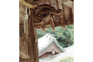 金寳冨貴・竹生島巡り