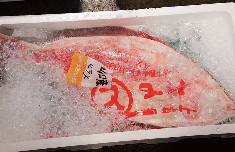 時今浪花賑活気あふれる天下の台所