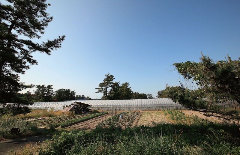豊穣の地で育まれる伝統野菜