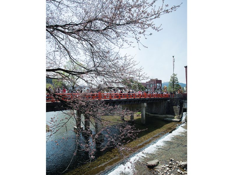 天領 飛騨高山春の高山祭「山王祭」