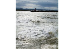 不可思議な羊の正体羊の島――焼尻島