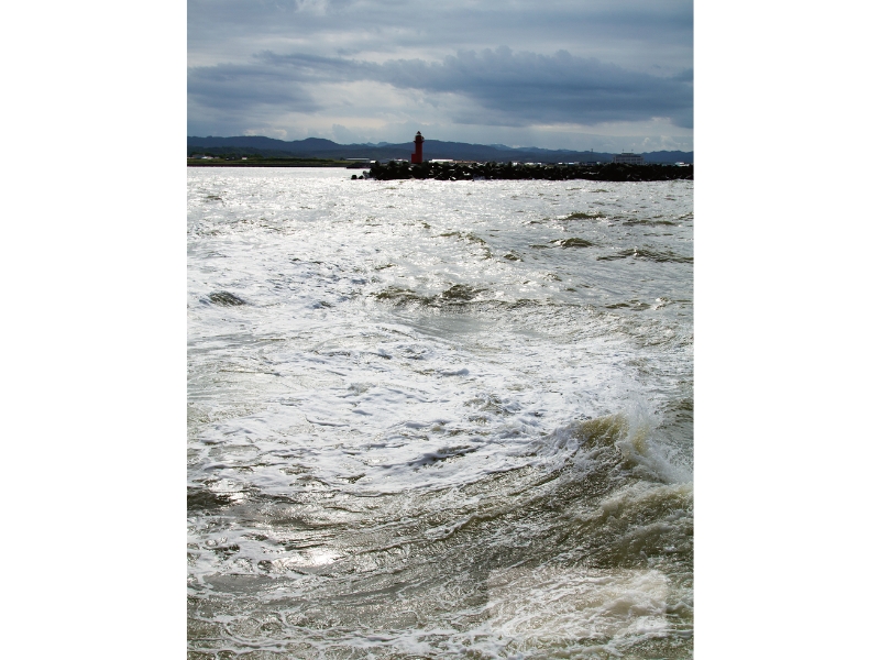 不可思議な羊の正体羊の島――焼尻島