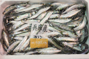 時今浪花賑活気あふれる天下の台所