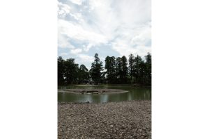 東北緑色革命情報都市「平泉」