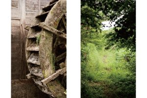 東北緑色革命風景の力、土地の力