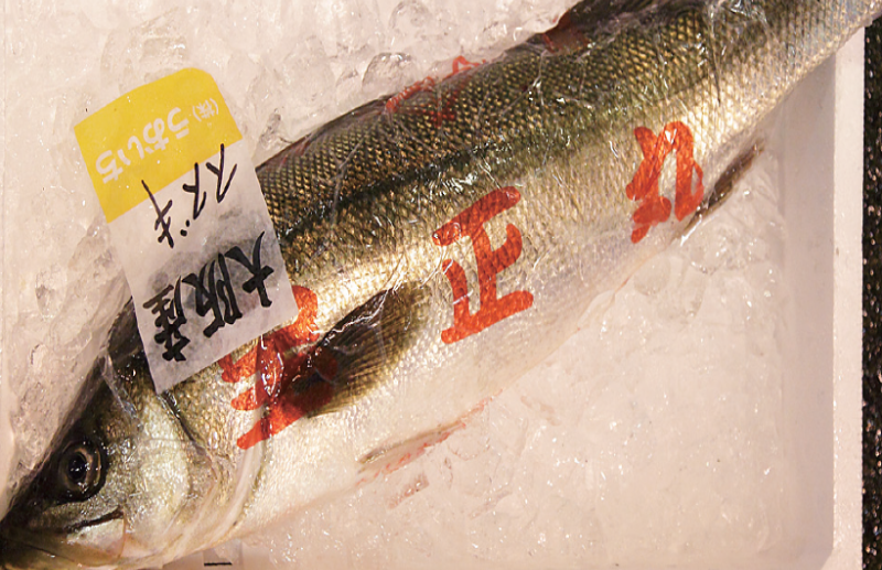 時今浪花賑活気あふれる天下の台所