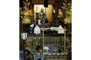 東北緑色革命情報都市「平泉」