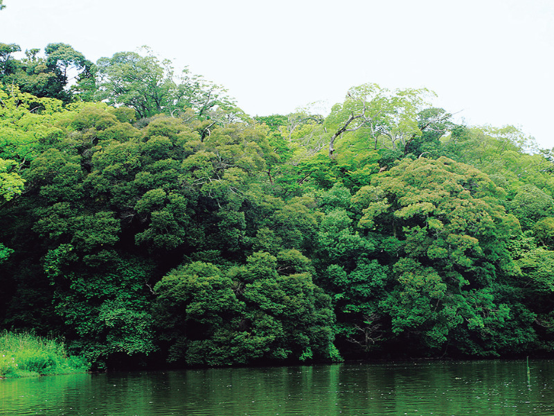 不昧公の松江・数寄者