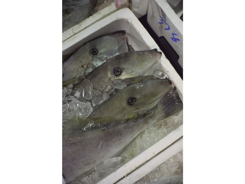 最西端の島、福江鬼門と繁栄