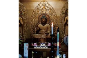 東北緑色革命情報都市「平泉」