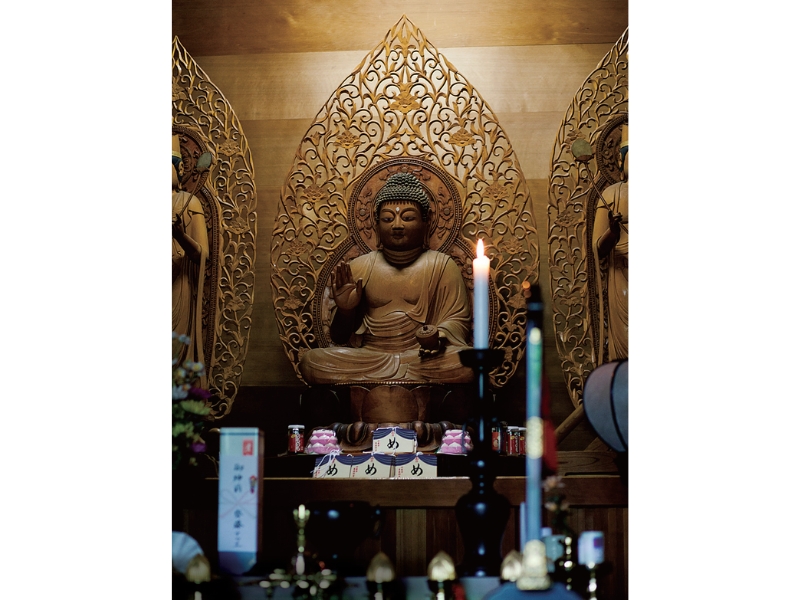 東北緑色革命情報都市「平泉」