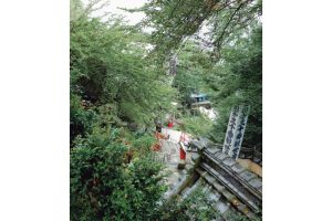 金寳冨貴・竹生島巡り