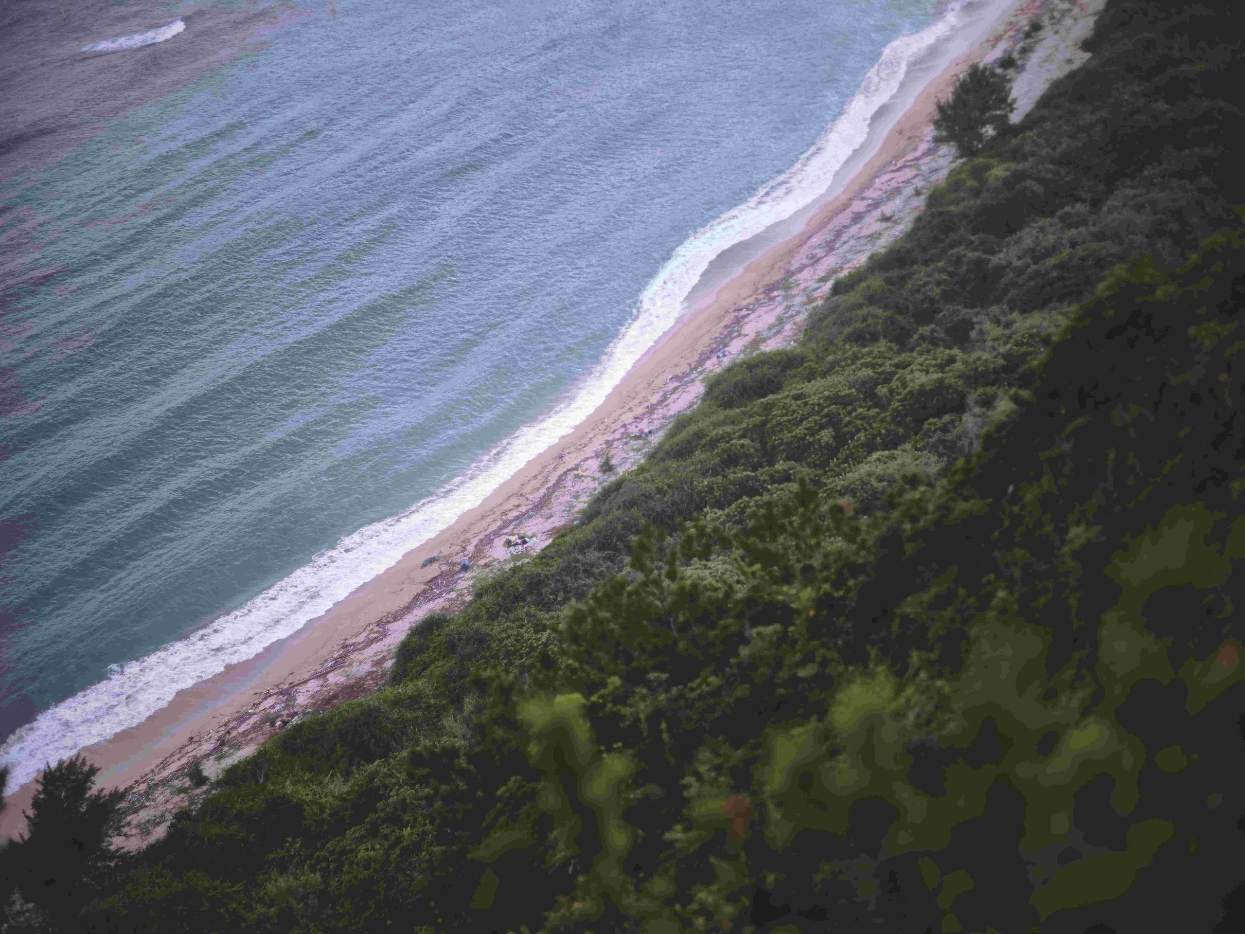 固有種から珊瑚へ沖縄・やんばる