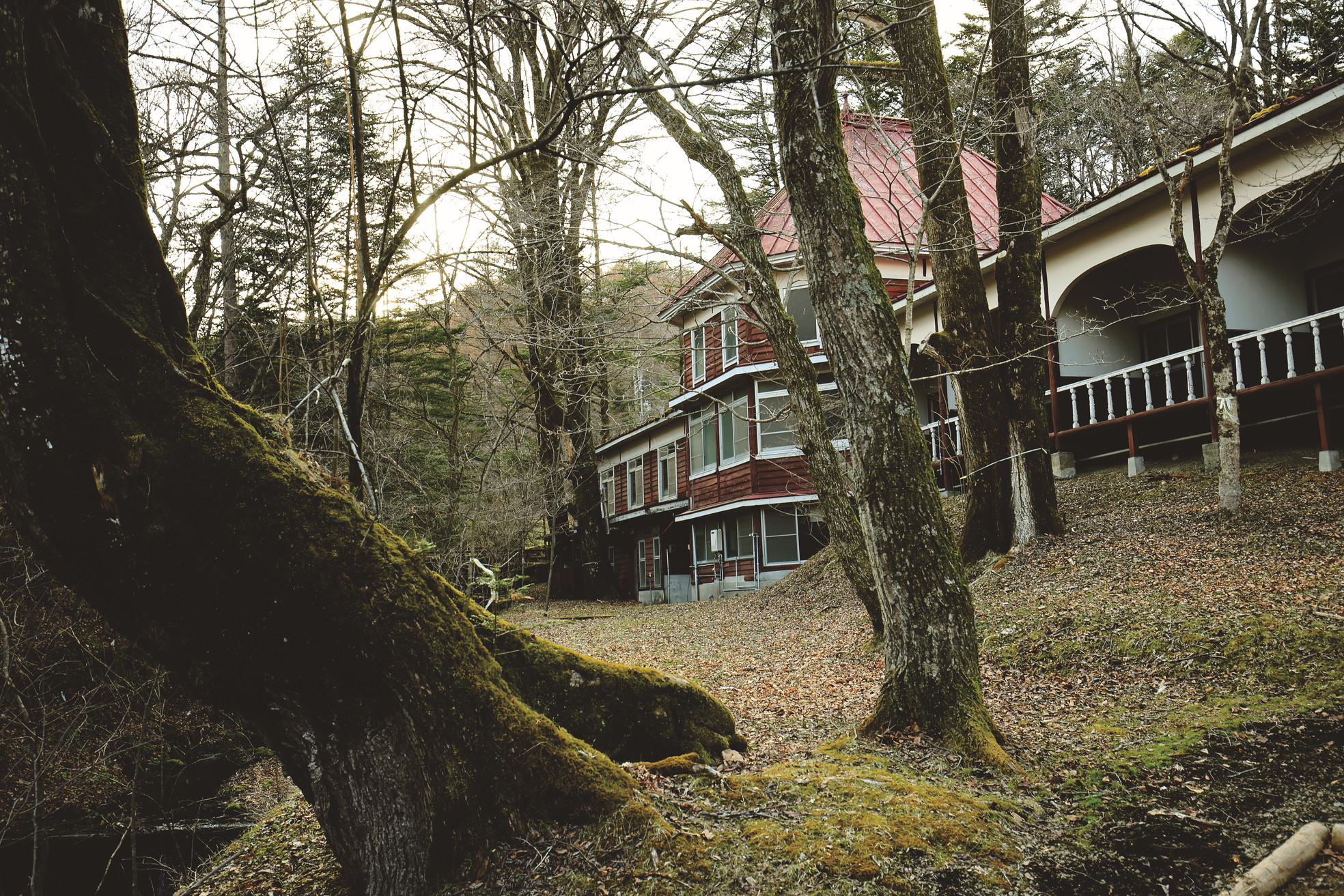 軽井沢物語　Ordinary or Extraordinary?