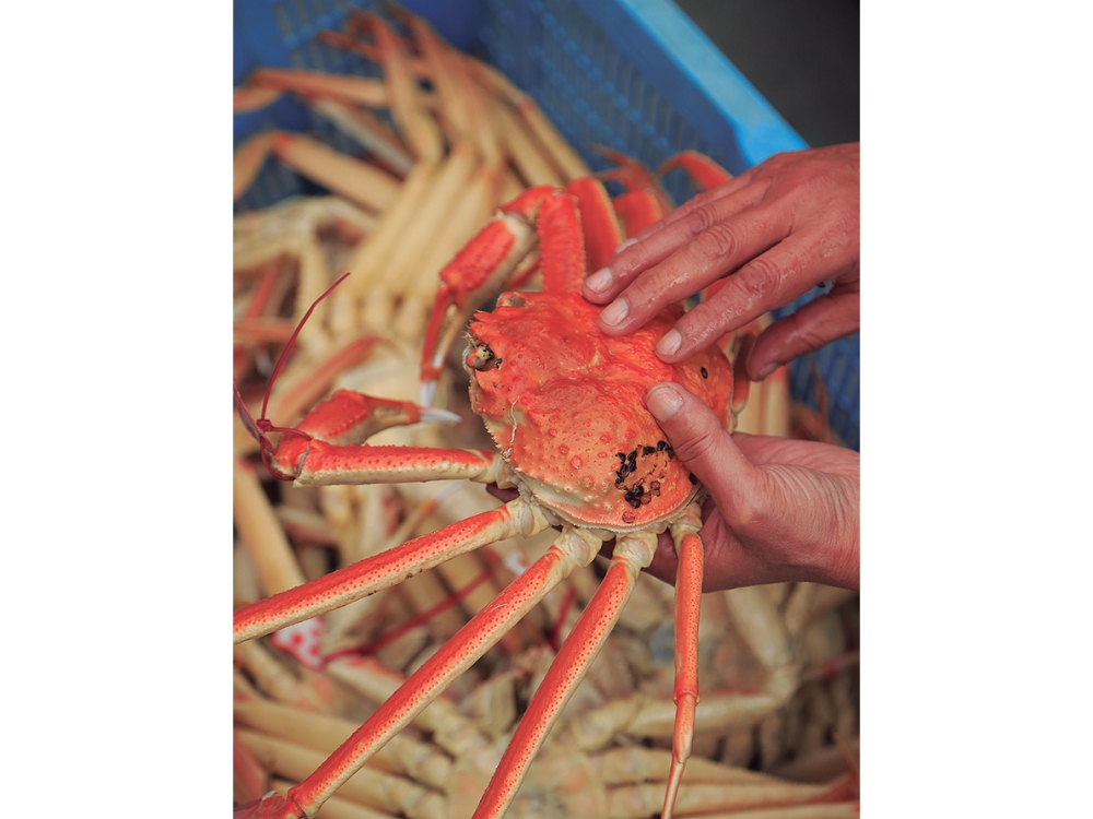 蟹と鳥取の物語松葉がにに沸く岩美町